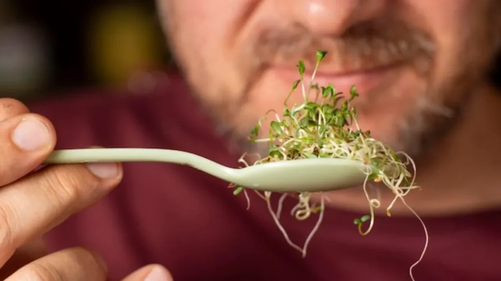 Alfalfa Sprout Recall